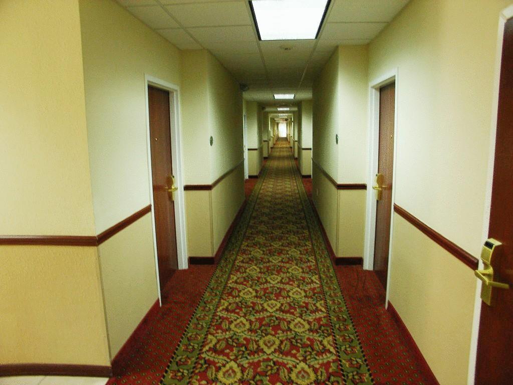 Quality Inn Zephyrhills-Dade City Exterior foto